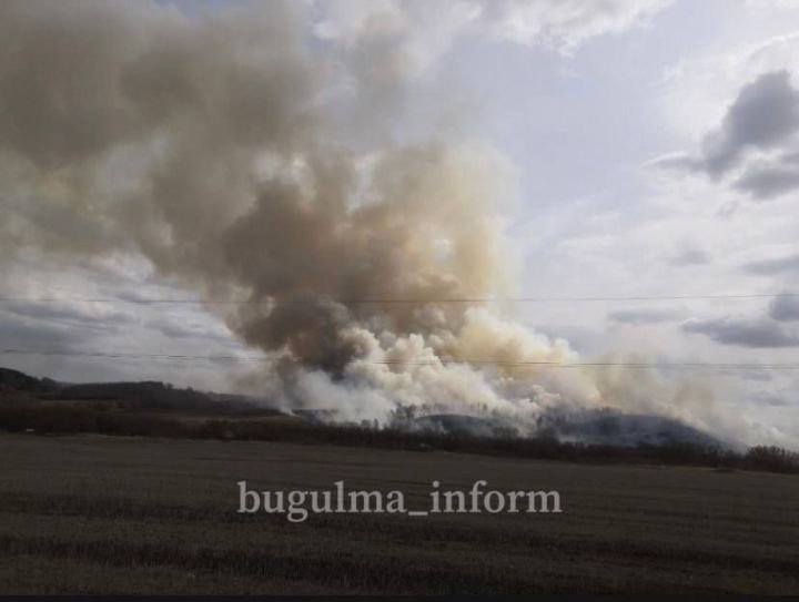 В Бугульминском районе клубы дыма застелили небо