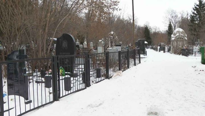 29 апреля на челнинских кладбищах состоится День памяти
