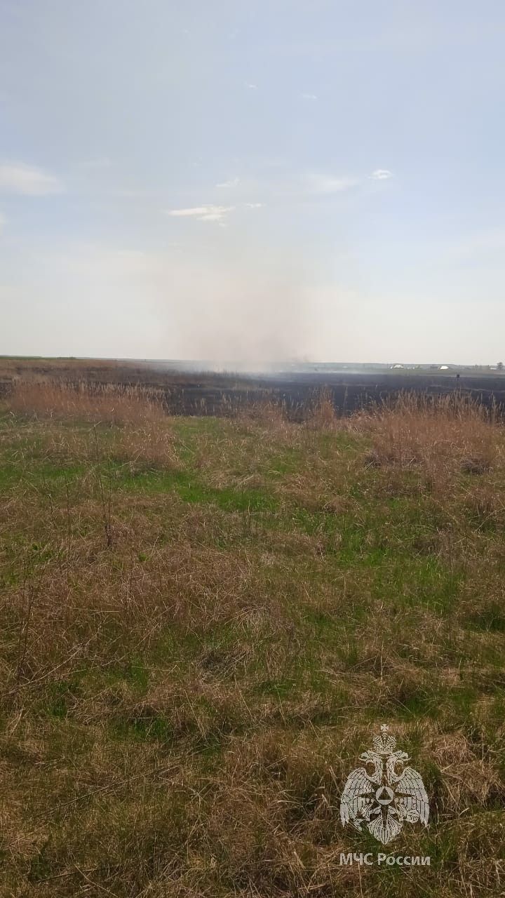 Из-за загоревшейся сухой травы в Нижнекамске погиб мужчина