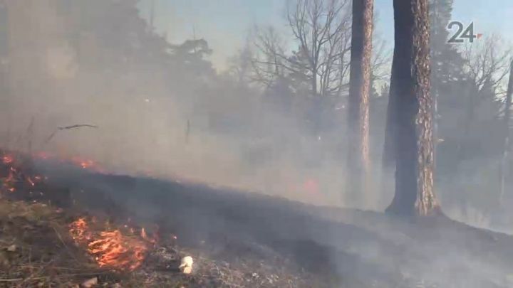 В Татарстане из-за высокой пожароопасности объявили штормовое предупреждение