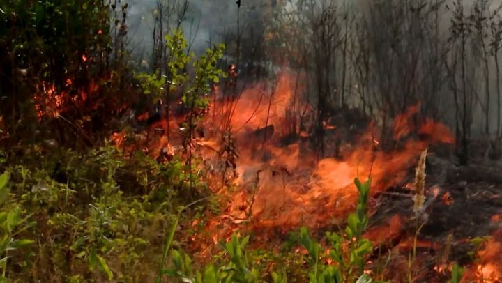 В Татарстане сохранится чрезвычайная пожарная опасность лесов