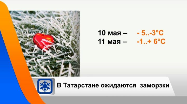 Майские морозы: в Татарстане ожидаются заморозки