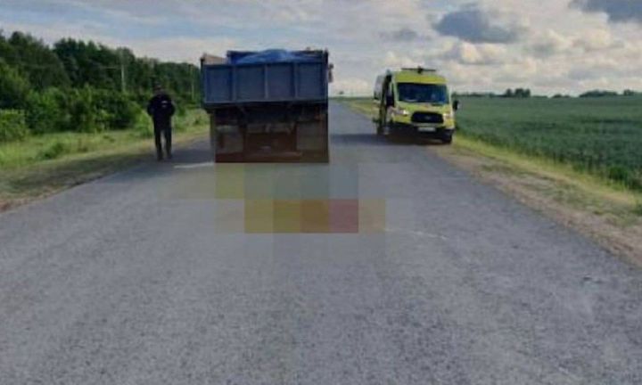В Татарстане девочка упала с лошади и погибла под колесами «КамАЗа»