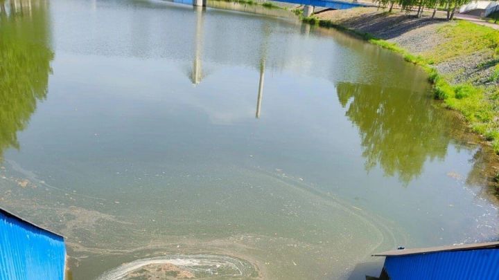 Власти Альметьевска рассказали о причинах загрязнения Каскада прудов