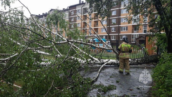 За полтора часа жители Агрызского района сообщили о 19 случаях происшествий из-за урагана