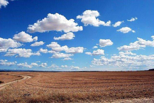 В Татарстане могут ввести режим ЧС из-за засухи