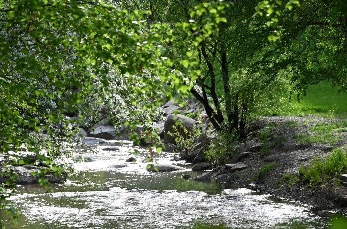 Две реки Татарстана будут включены в Реестр географических объектов