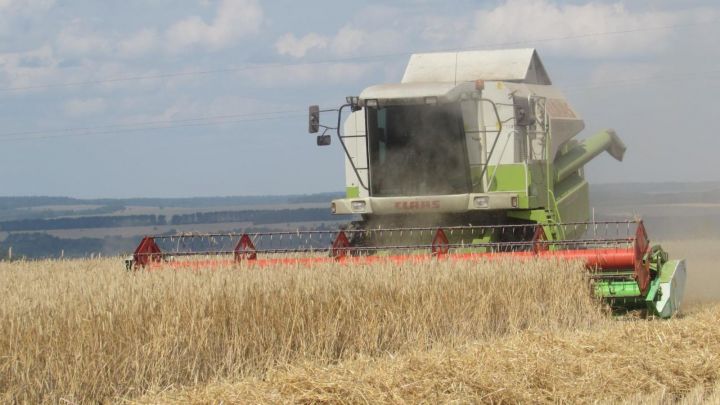 В Татарстане заканчивается сезон сборки урожая