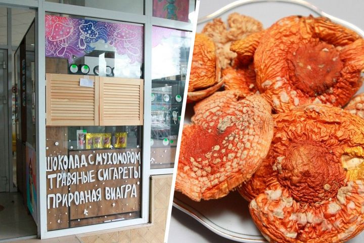 Жители Казани обнаружили точку продажи галлюциногенных грибов