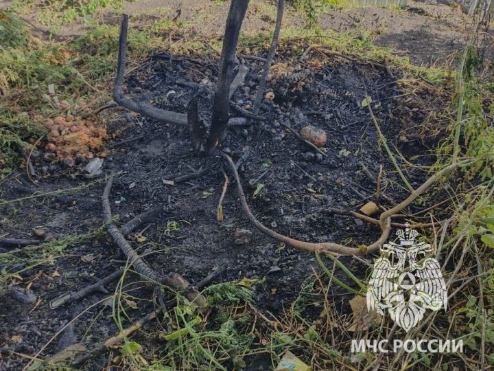 Четырехлетний ребенок получил ожоги в результате поджога мусора в поселке Алексеевское