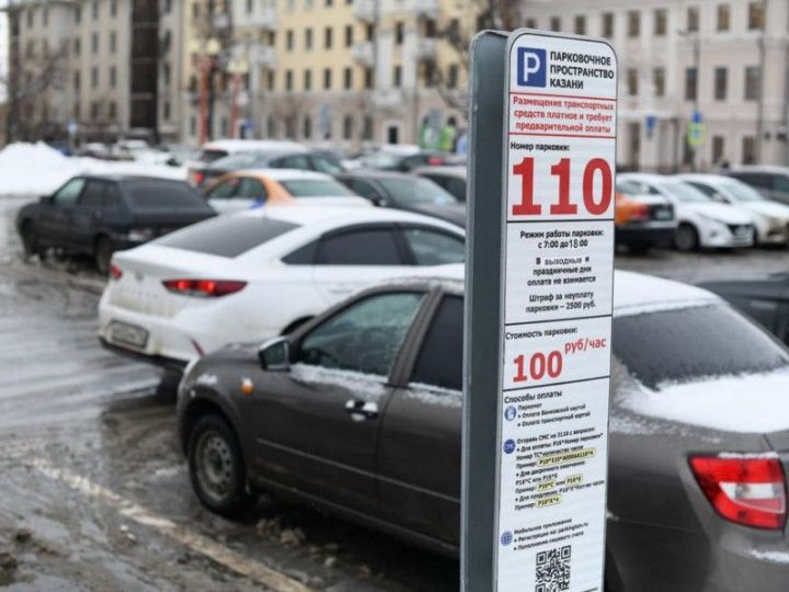 Общая сумма наложенных штрафов за неуплату парковки составила 217 млн рублей