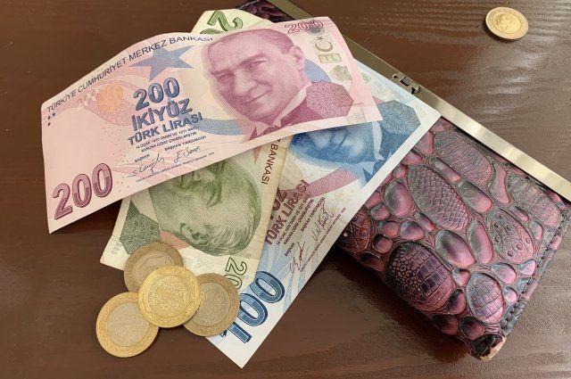 На саммите БРИКС в Казани могут приступить к обсуждению новой валюты