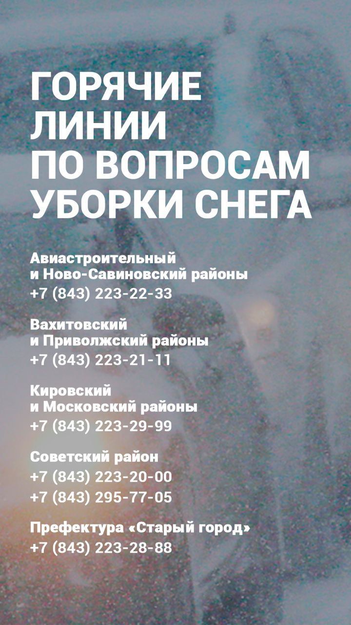 Одинокие пожилые татарстанцы могут обратиться за помощью в очистке территории от снега