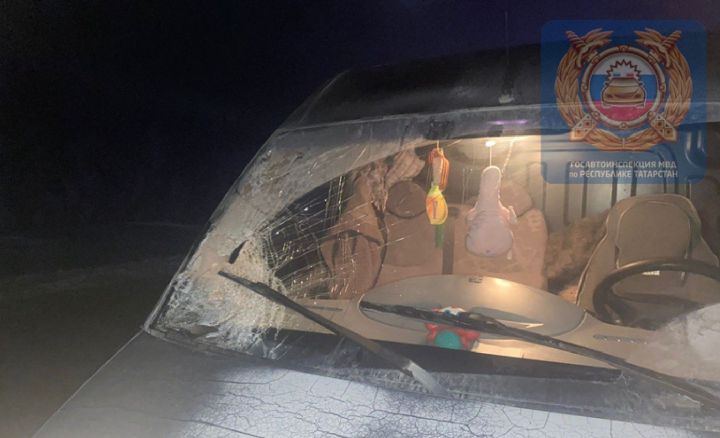 Смертельное ДТП произошло на трассе М-7 в Арском районе