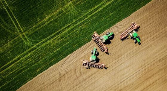 Более 20 тысяч гектаров сельхозземель введено в оборот в Татарстане