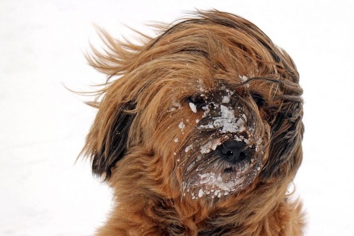 Татарстанцев предупредили о сильном снеге и ухудшении видимости