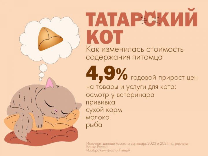 В Татарстане подорожало содержание котов