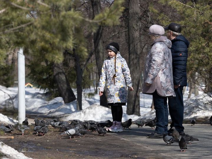 В КФУ спрогнозировали полное таяние снега в Татарстане к маю