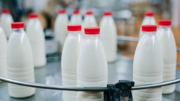 За месяц производство молока в Татарстане увеличилось на 5,6%
