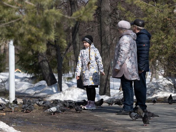 В Татарстане ожидается потепление до +9 градусов
