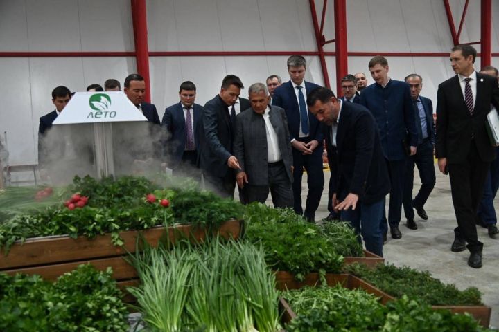 Минниханов посетил узбекское предприятие «Termez National Carpets» и агрокомплекс «Лето»