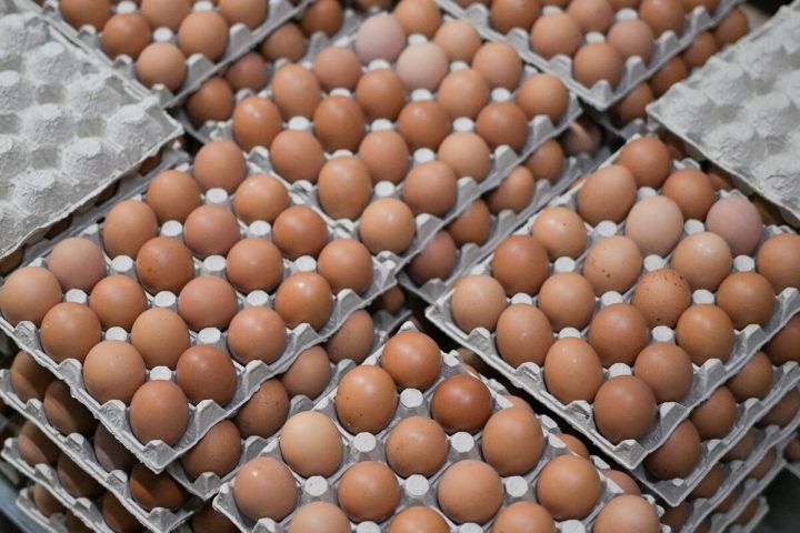 За год в Татарстане яйца подорожали на 63,8%