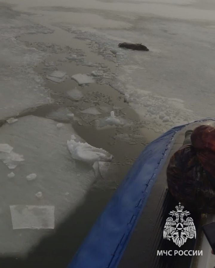 Мужчину, провалившегося под лед, спасли на реке Казанка