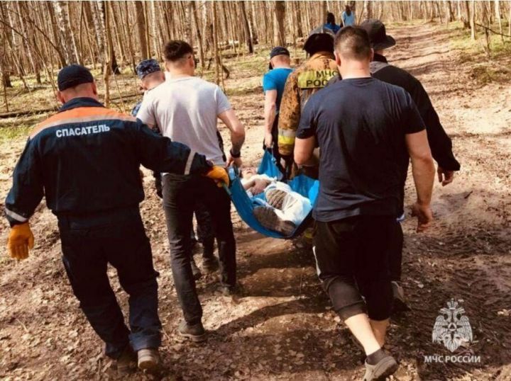 В Казани женщина серьезно пострадала при падении дерева