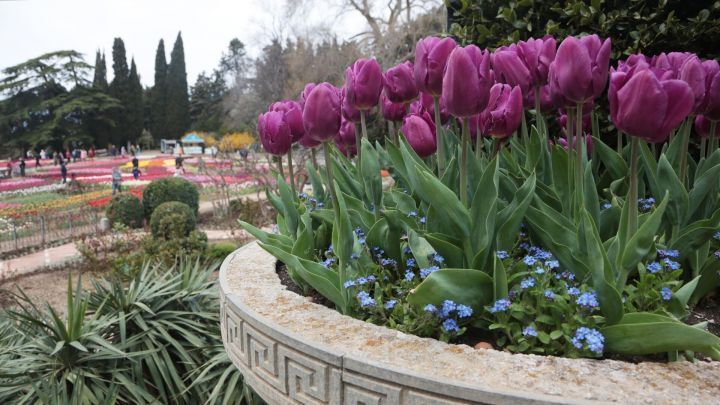 Более двух тысяч цветочных кашпо украсят улицы Казани