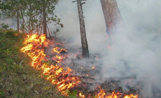 В Татарстане объявлено штормовое предупреждение о высокой пожарной опасности лесов