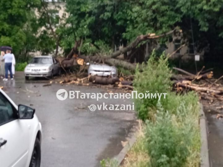 Дерево упало на автомобиль в Казани из-за сильного ветра